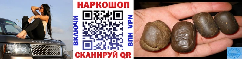 Где купить наркотики Советская Гавань Гашиш  Марихуана  МДМА  Меф мяу мяу 