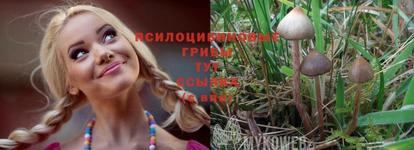 спиды Балахна