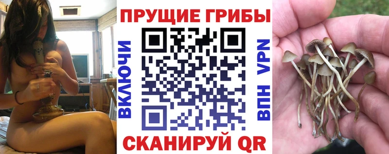 Галлюциногенные грибы Cubensis  Советская Гавань 